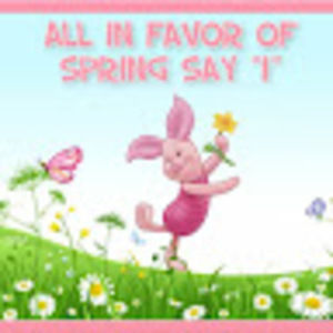 Meet your Posher, Wendy